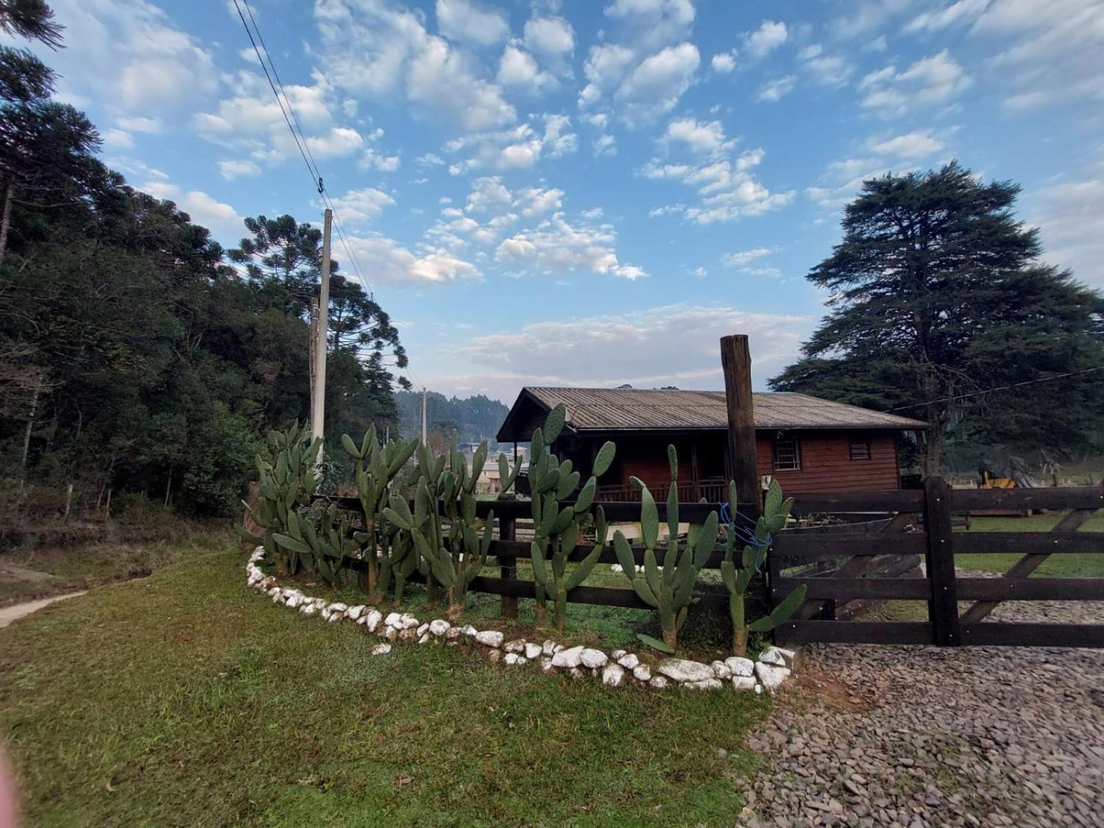Cabanas Leao Da Tribo De Juda Canela Extérieur photo